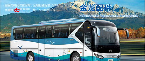 汽車火花塞市場分析 廠家、經銷商、維修廠地址、價格及北邁網汽后通在小微型客車領域的應用